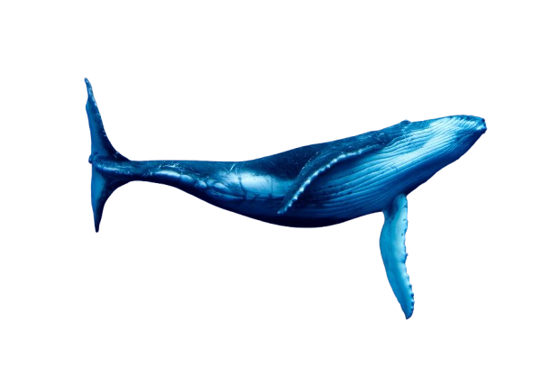 Blue-Whale